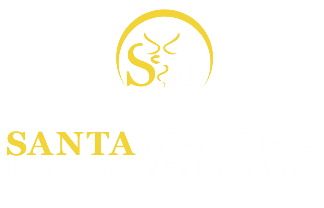 Hospital Veterinario Santa Martha